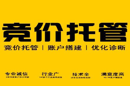 信息流广告投放公司案例深度剖析
